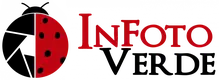 InFotoVerde