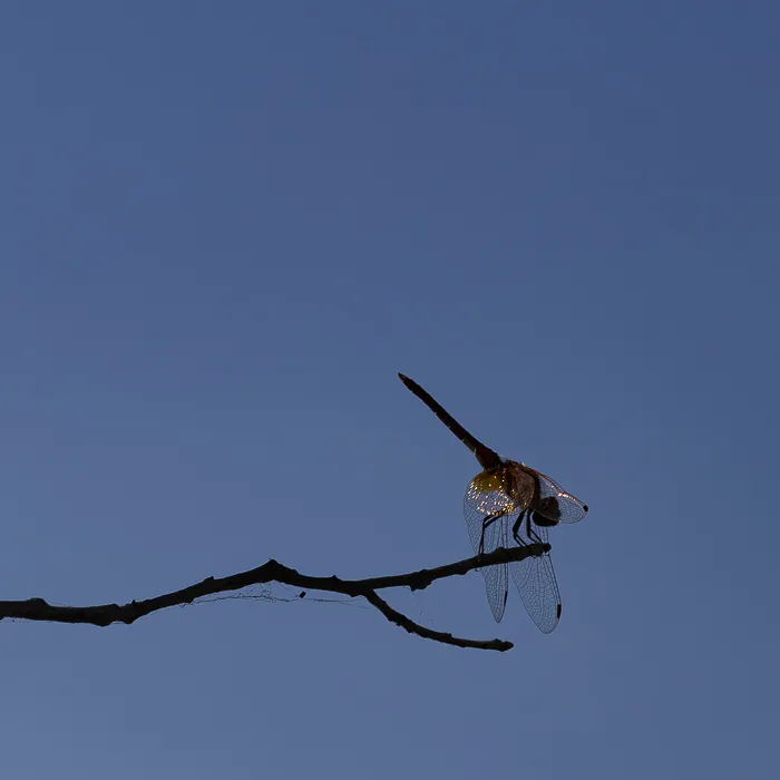 Servicios Fotográficos