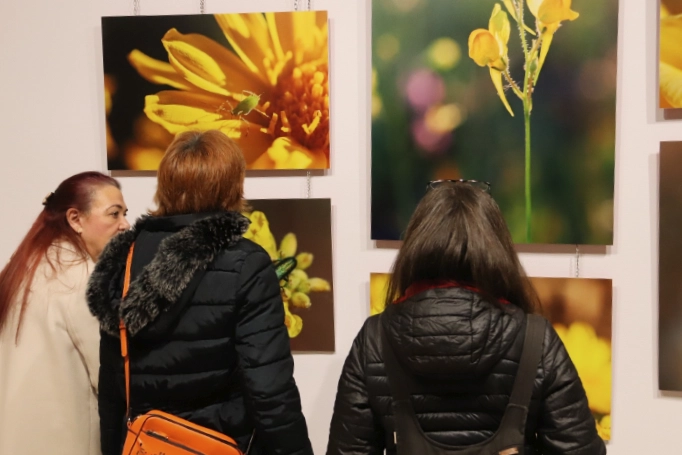 infotoverde exposiciones